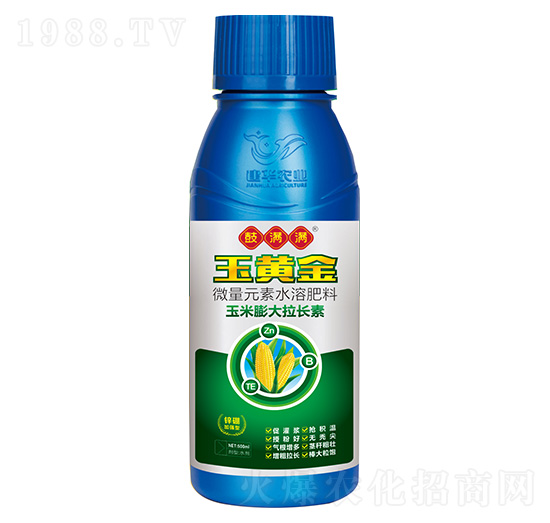 玉米膨大拉長素-玉黃金-鼓滿滿-建華農(nóng)業(yè)