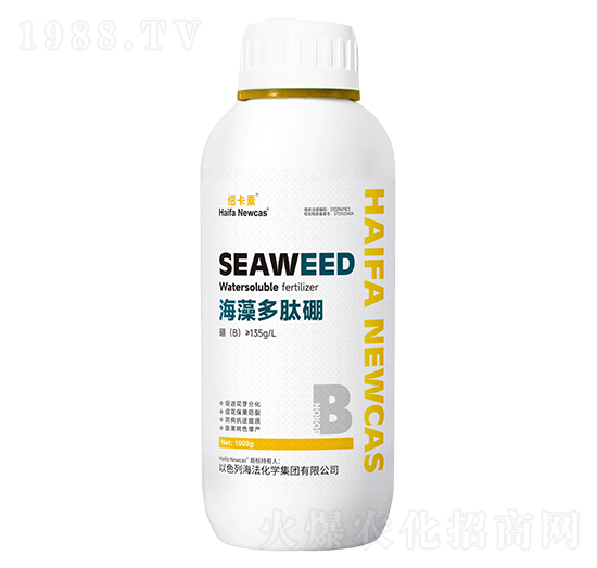 ���������-�~����-���r�W��