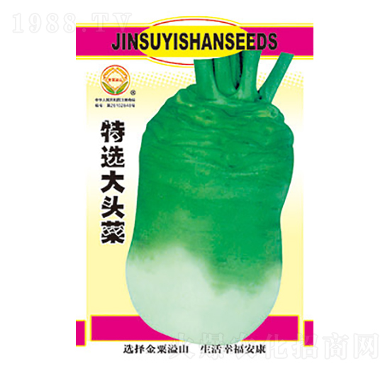 特選大頭菜-太樂種業(yè)
