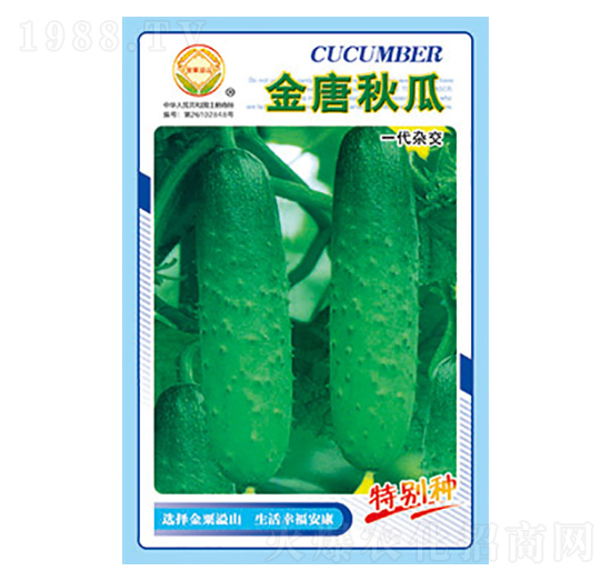 黃瓜種子-金唐秋瓜-太樂種業(yè)