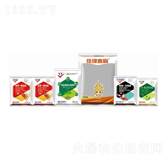 小麥病蟲害解決方案-佳綠麥霸-美邦化工