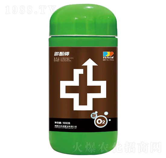 ����-�����ʘI(y��)