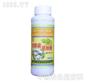 ��ɽ����-����˥�M(m��n)����