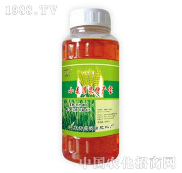 ����-С�����{���a��