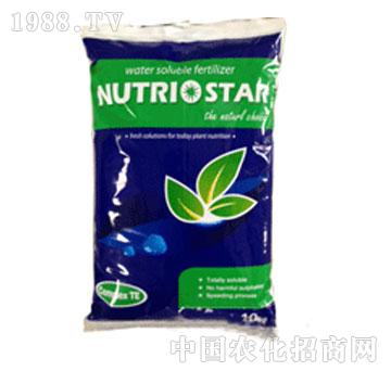 ���֐�(��i)ؐ˹��-�δ�15-15-30+TE