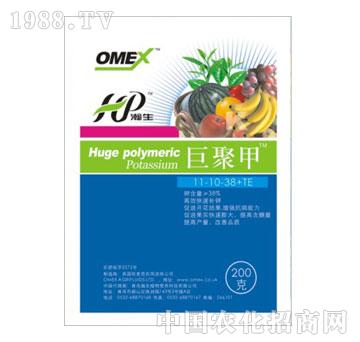 ��ֲ��-�޾ۼ�