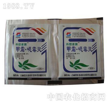 �L�p-�L�pʥ��-��˪��ù�`