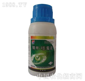 �L�p-���א�ù�`