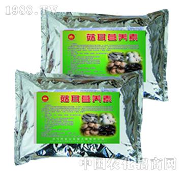 ��ɽ����-�����I(y��ng)�B(y��ng)��