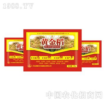 ���-�S��