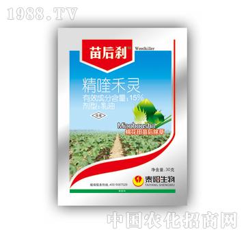 15%��୺��`-���-̩�