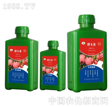 �O�����ð���������Һ��