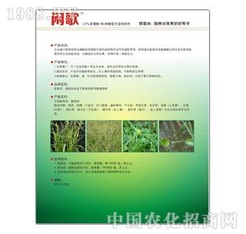 60%���������׻�¡-�e��-����