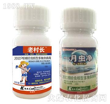 ����x���Ͷ���w����-�ϴ��L+һ�_��-�P���