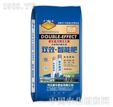 �pЧ���ܷ�20-20-