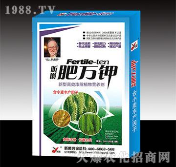 ���f�С�����b