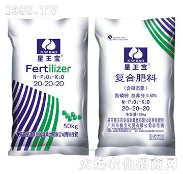 含硝態(tài)氮復合肥料20-20-20-星王寶-植?；? />
                                </div>
                            </div>
                            
                            <style type=