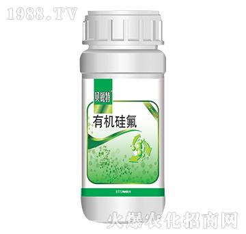 �ЙC���-ؐ�J��-�Ұ