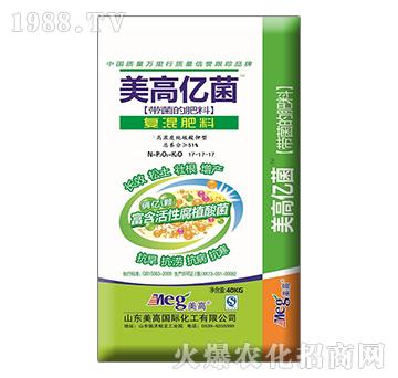 ���߃|����(f��)�����17-