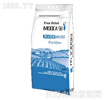 ƽ���ʹ���Ԫ��ˮ�ܷ�19-19-19+TE-��о���H