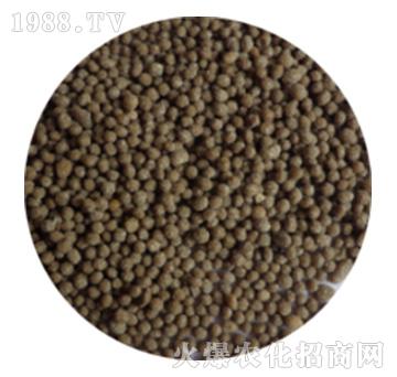 ����ɫ�LͲ����