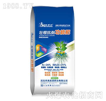 �Ѹ��������ܷ�