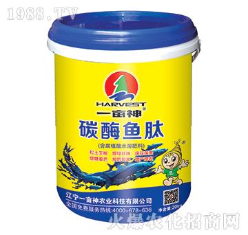 ̼ø�~��-һ����