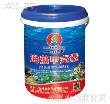 ����ך���-һ����