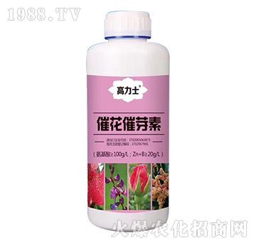 �߻���ѿ��-����ʿ-��