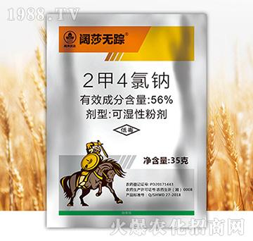 56%���������c-�ɯ�oۙ-�к����_