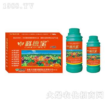 �V�V�͠I�B(y��ng)���a�{�턩-�Ƶ�