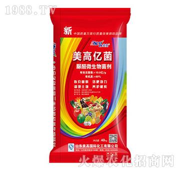 ΢�������-���߃|��-