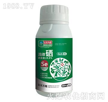 ���w��-���S�f¡