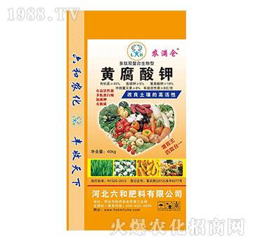 �����p�����������S�����-�r(n��ng)�M�}-�����r(n��ng)�I(y��)