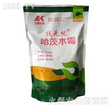 哈茨木霉-線無(wú)憂(yōu)-艾康作物