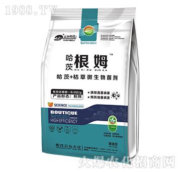 ���ĸ�ķ-���_(t��i)��