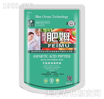 藍(lán)洋肥姆-云臺大化