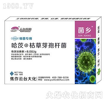 細(xì)菌專用菌鄉(xiāng)-云臺(tái)大化