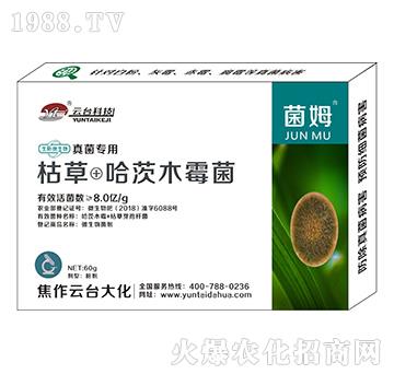 真菌專用菌姆-云臺(tái)大化