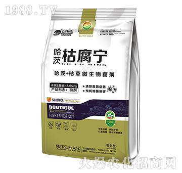 哈茨枯腐寧-云臺(tái)大化