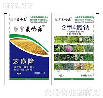 ������(l��)�M��-�K�ƻ���