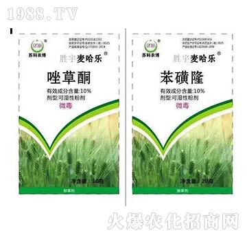 10%���ͪ+10%����¡-������(l��)-�K�ƻ���