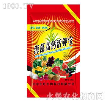 ������}��⛌�-ɽ������