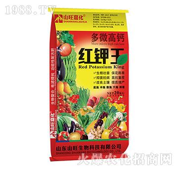 �t���-��΢���}-ɽ������