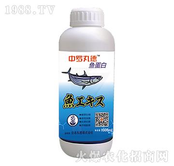 ���_����~(y��)����-���_