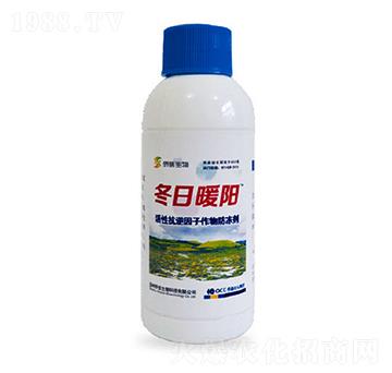 活性抗逆因子作物防凍劑-冬日暖陽-僑信生物