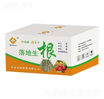 �������-�۹��Է