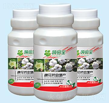 �޻������ڌ�(zhu��n)����-���-�����S��