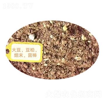 ������������ĩ��������-�Z�M�}