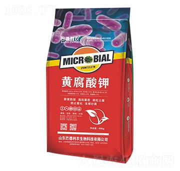 �S�����-�͵����r